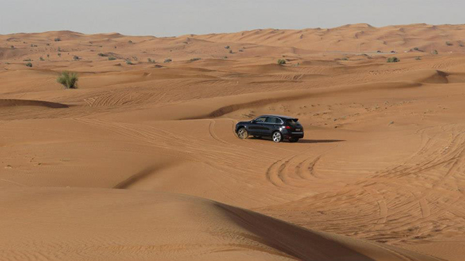 amidst the dunes